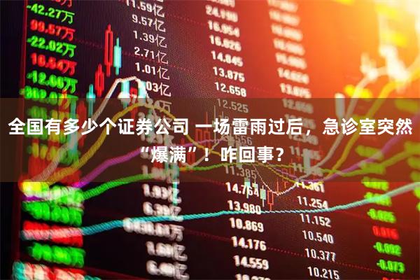 全国有多少个证券公司 一场雷雨过后，急诊室突然“爆满”！咋回事？