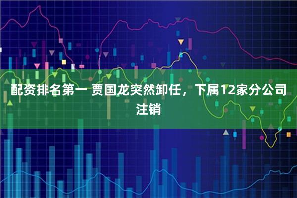 配资排名第一 贾国龙突然卸任，下属12家分公司注销