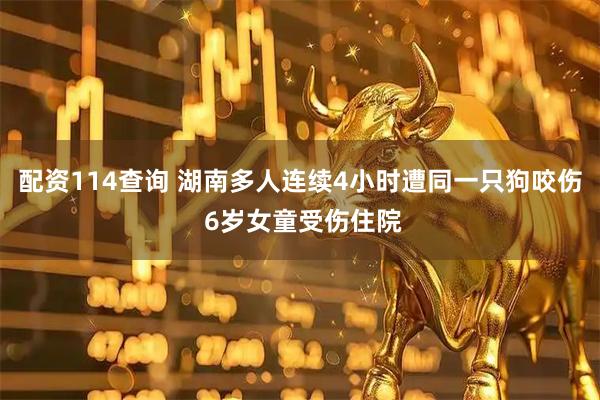 配资114查询 湖南多人连续4小时遭同一只狗咬伤 6岁女童受伤住院