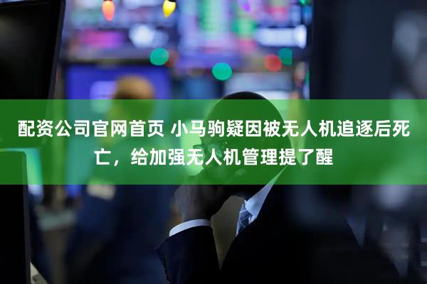 配资公司官网首页 小马驹疑因被无人机追逐后死亡，给加强无人机管理提了醒