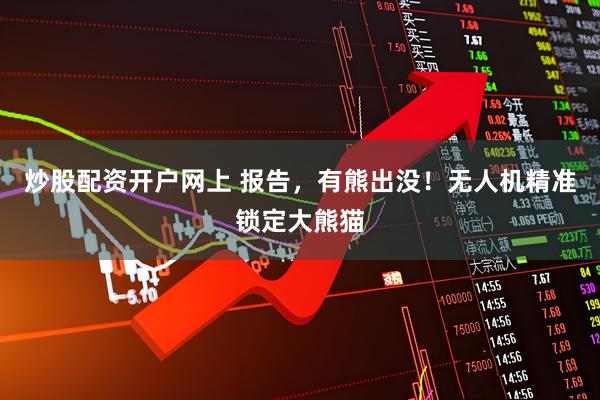 炒股配资开户网上 报告，有熊出没！无人机精准锁定大熊猫