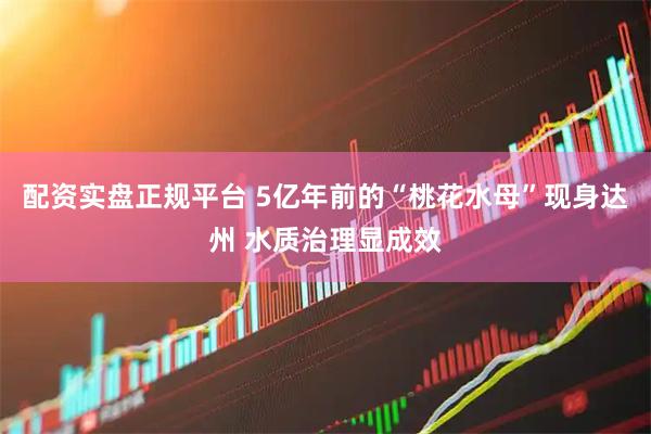 配资实盘正规平台 5亿年前的“桃花水母”现身达州 水质治理显成效